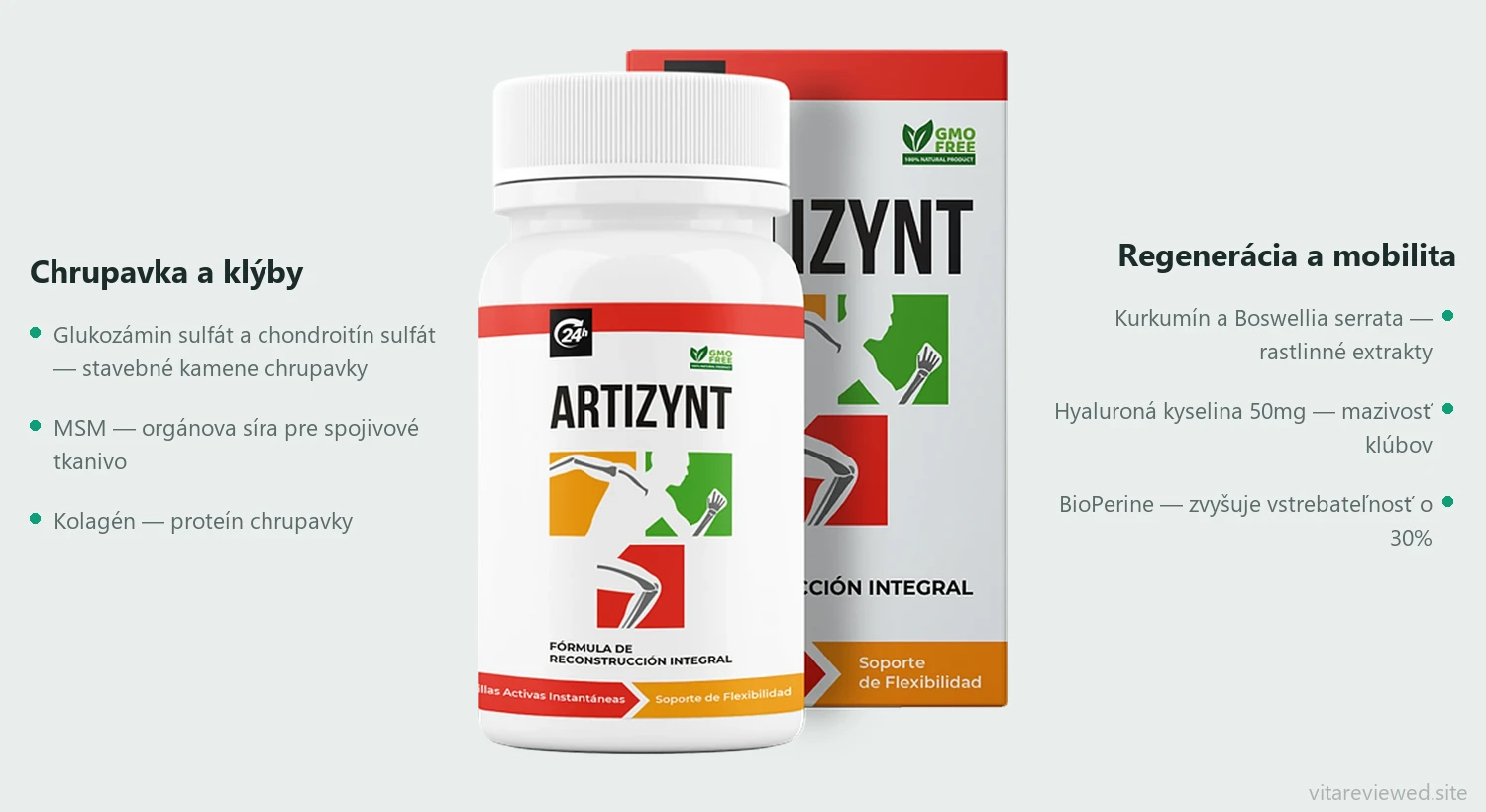 ArtiZynt — zloženie a účinok zložiek