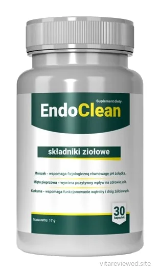 EndoClean