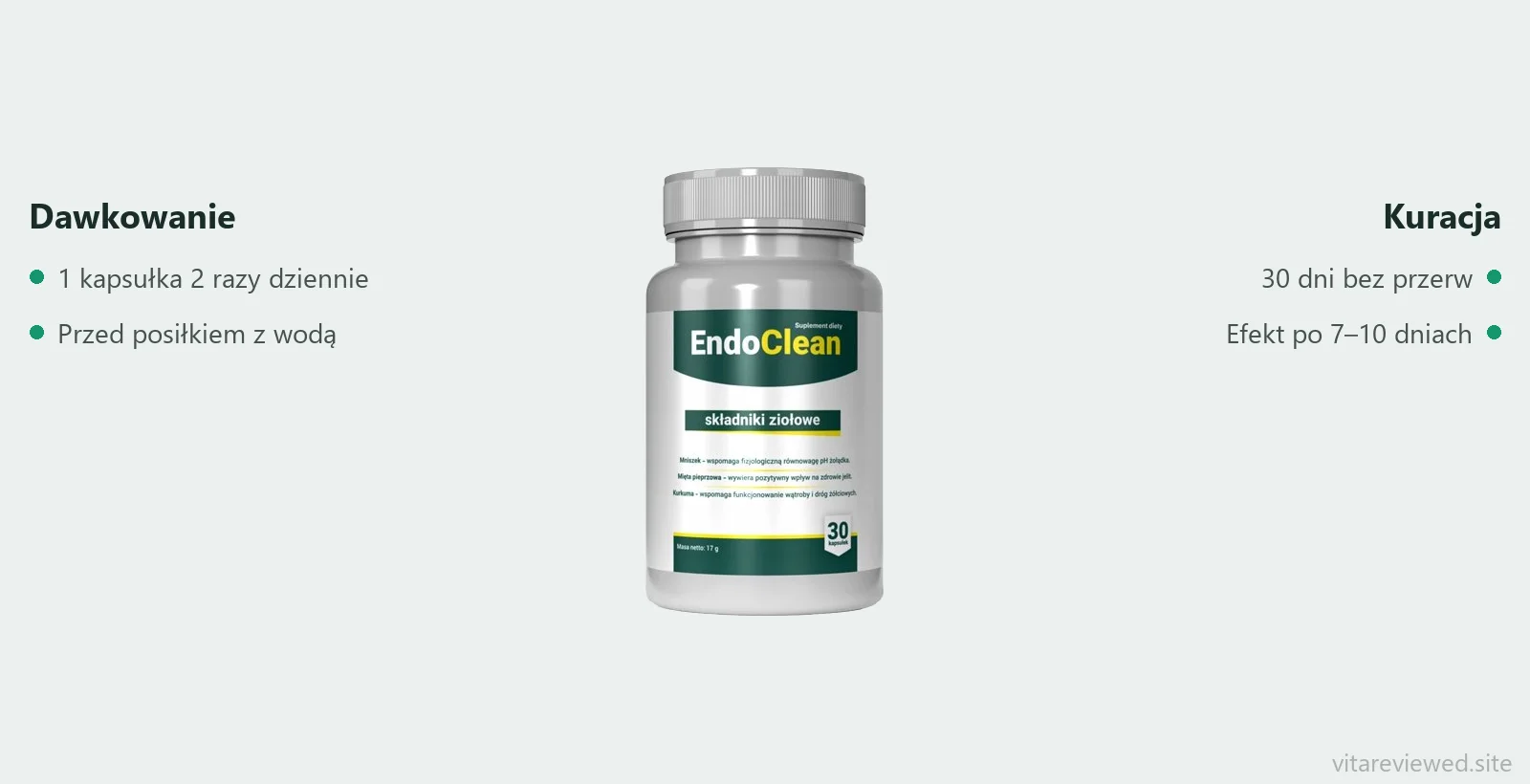 Stosowanie EndoClean