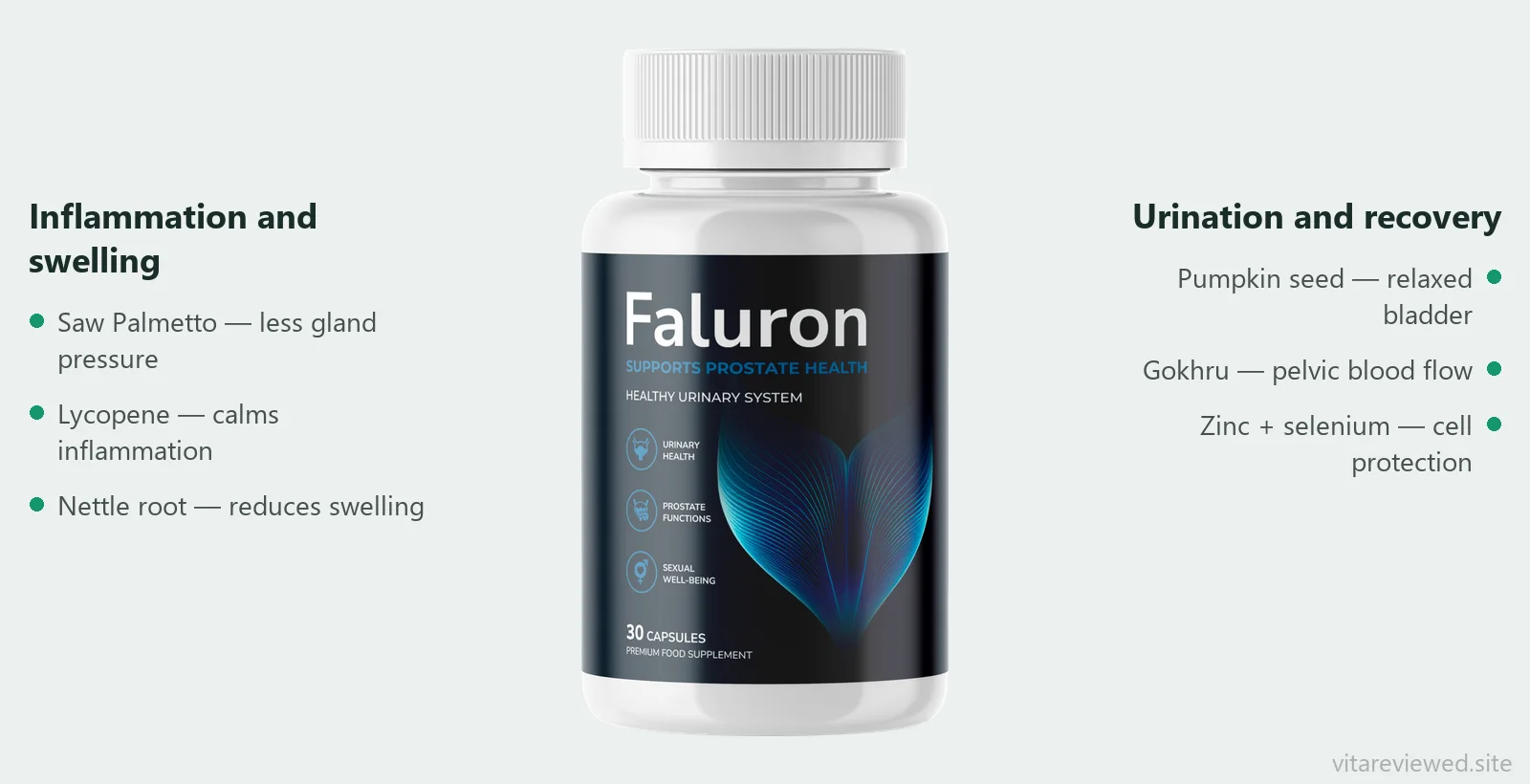 Faluron — اجزاء اور ان کا کردار