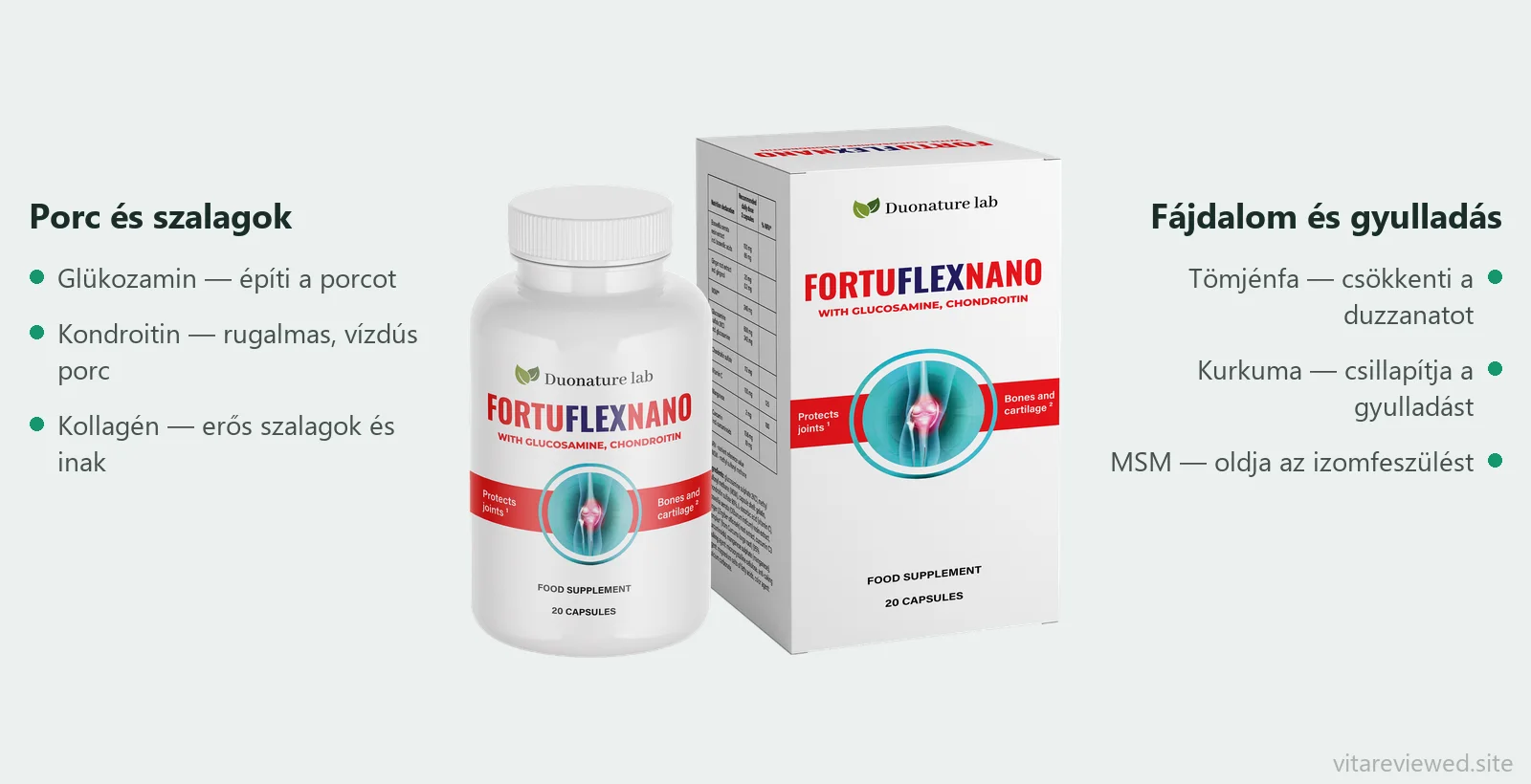 FortuflexNano összetétele és az összetevők hatása