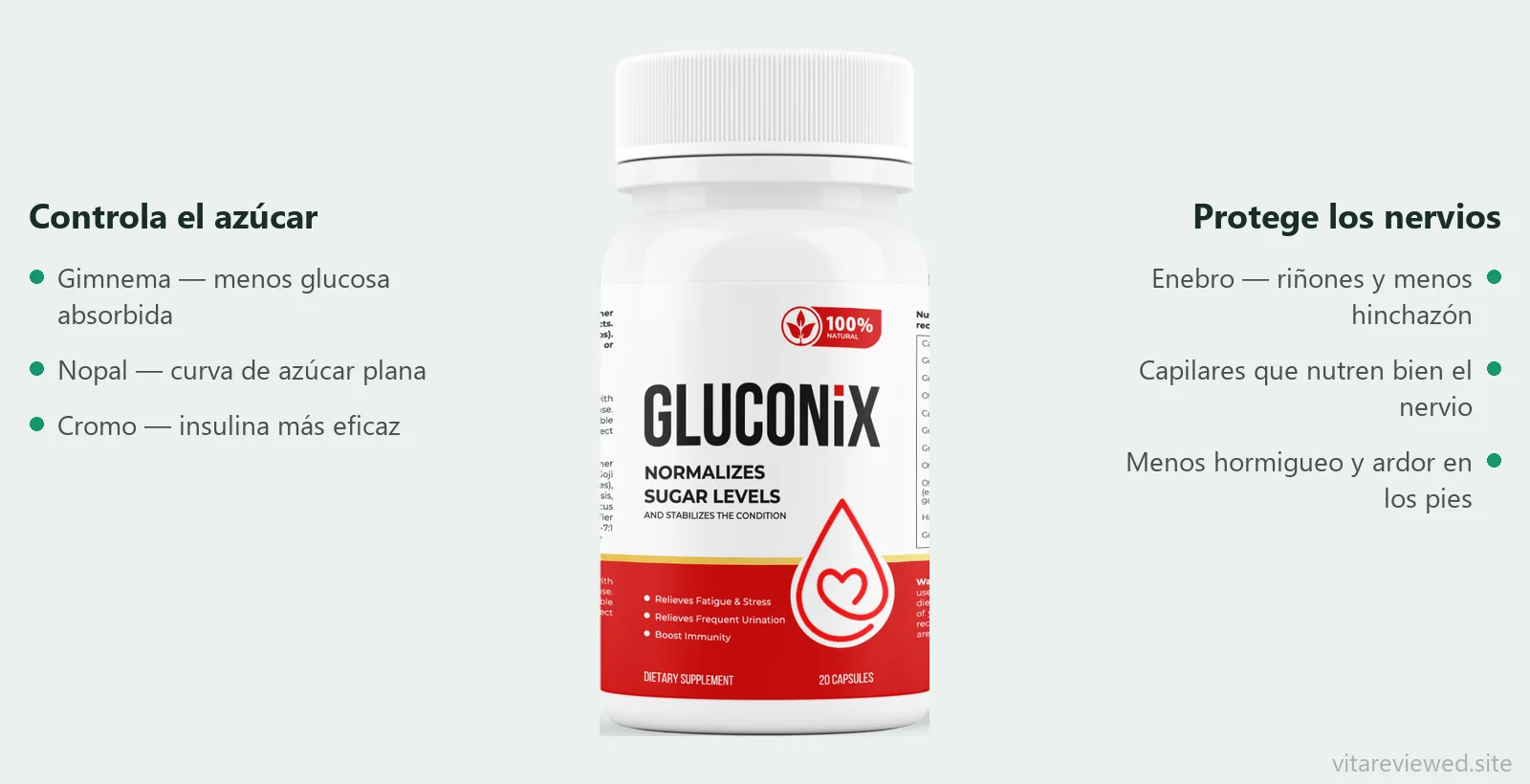 Composición de Gluconix: gimnema, nopal, extracto de enebro, cromo