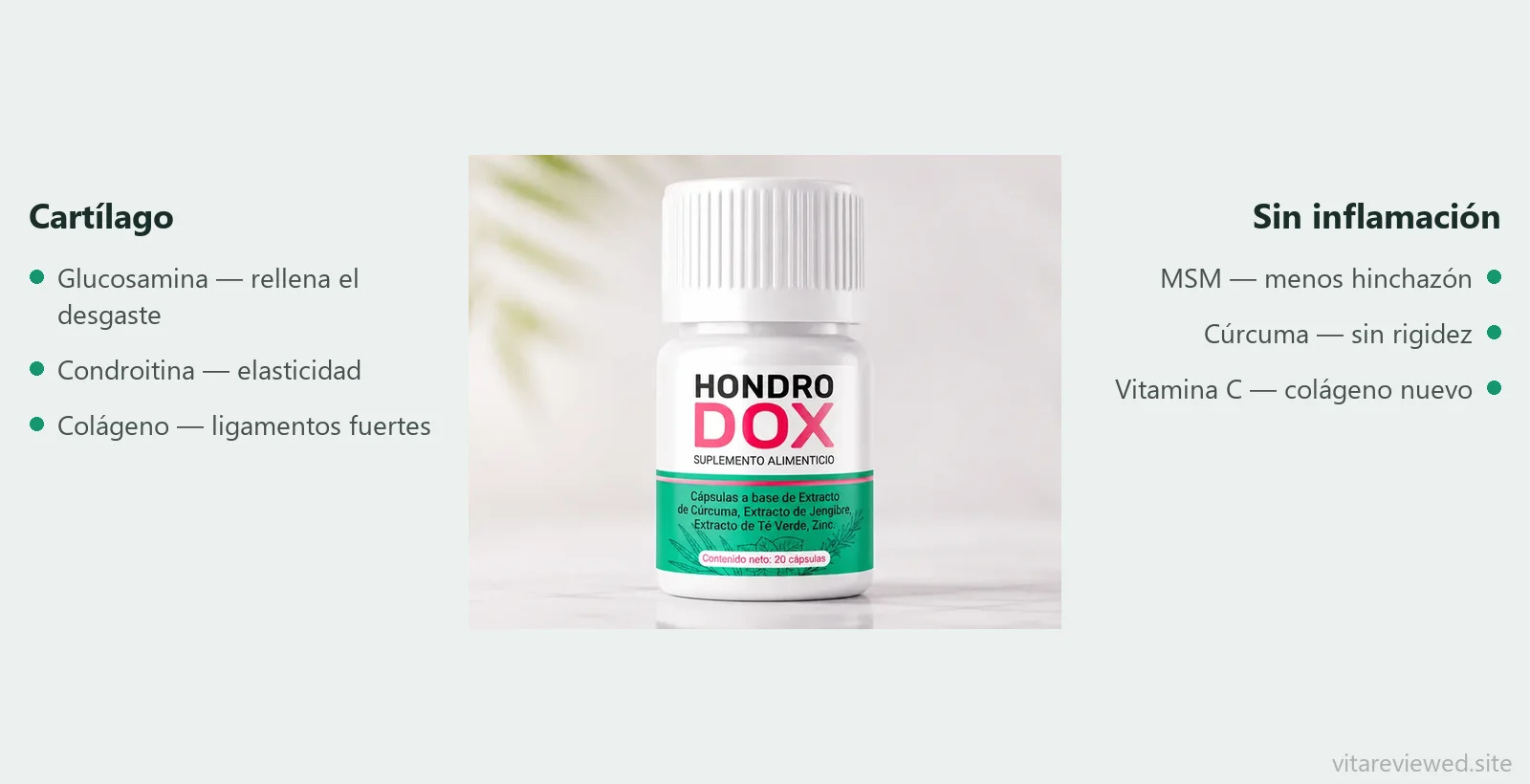 Composición de Hondrodox: glucosamina, condroitina, colágeno, MSM, cúrcuma, vitamina C
