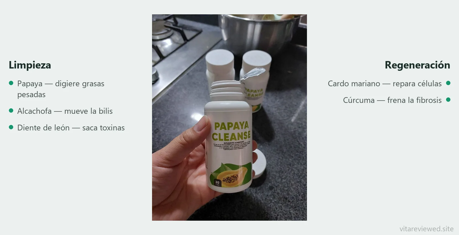 Composición de Papaya Liver Cleansing: papaya, cardo mariano, alcachofa, diente de león, cúrcuma