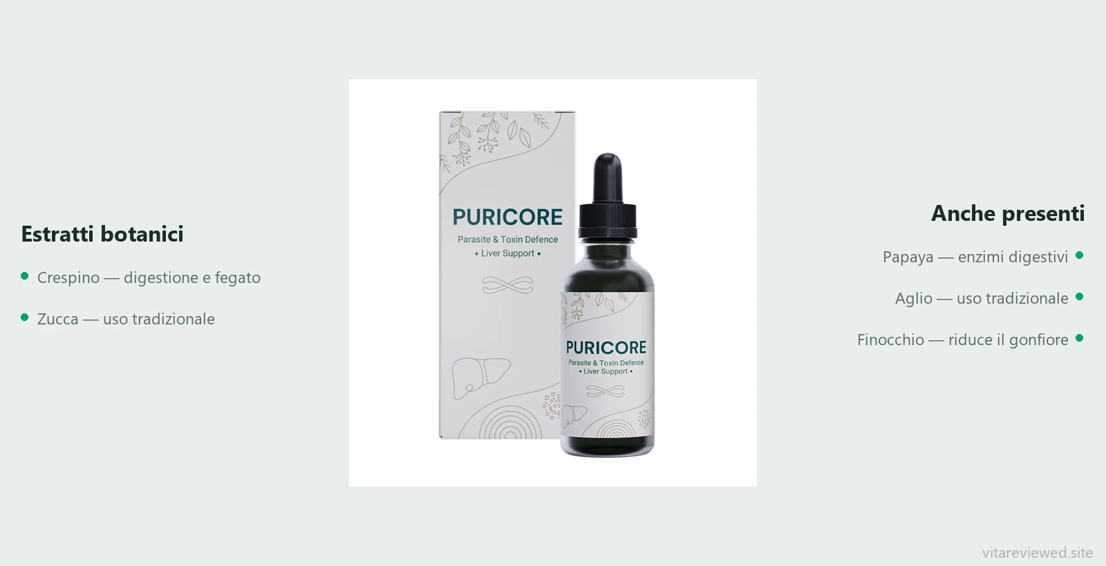 Puricore