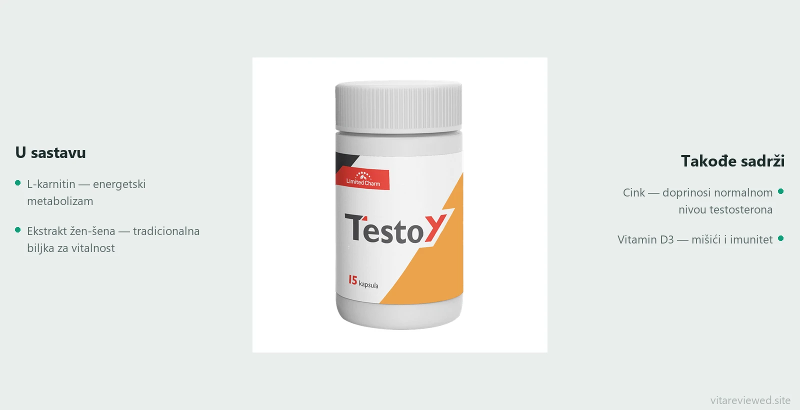 TestoY — sastav
