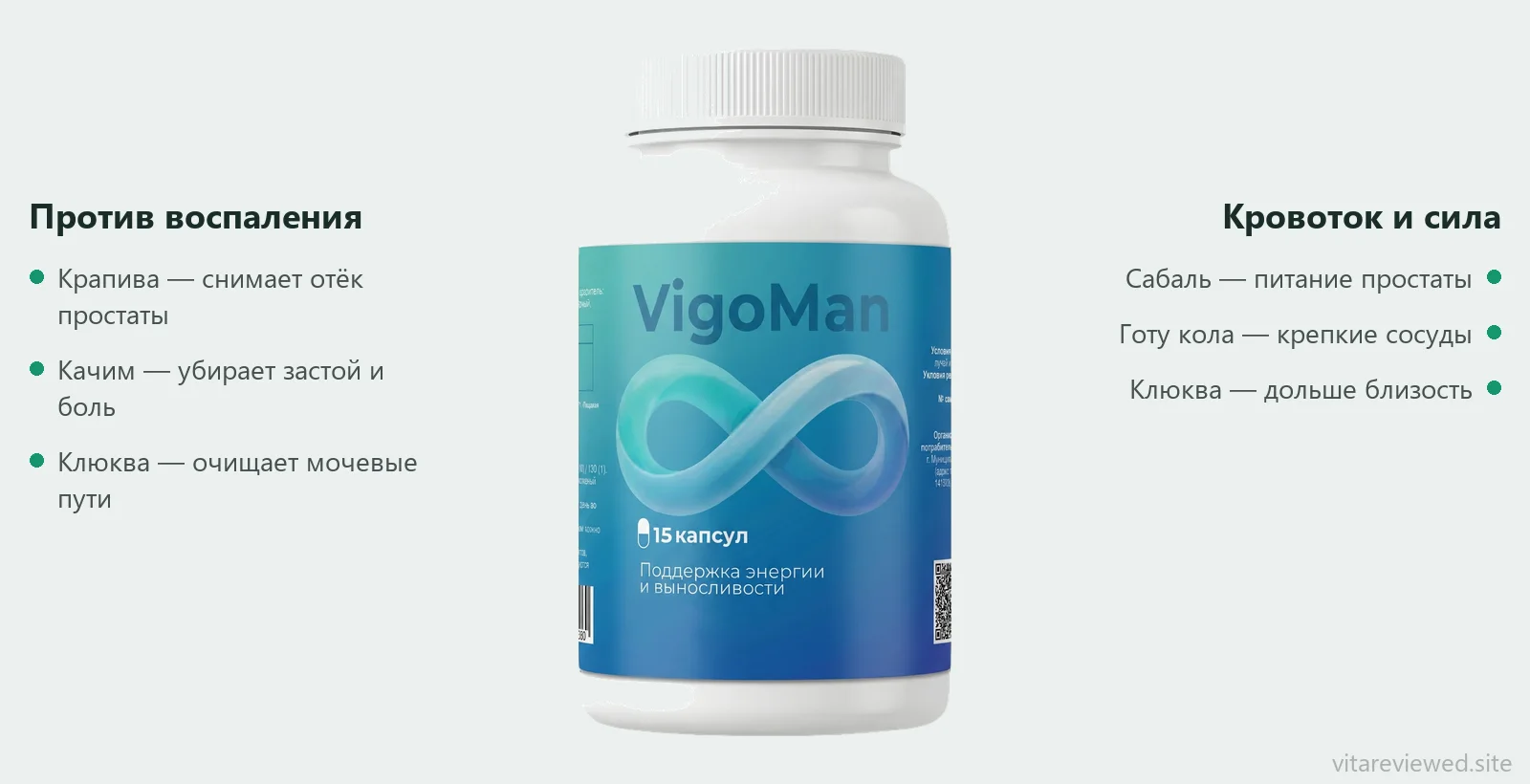 Состав VigoMan: сабаль, клюква, крапива, качим, готу кола